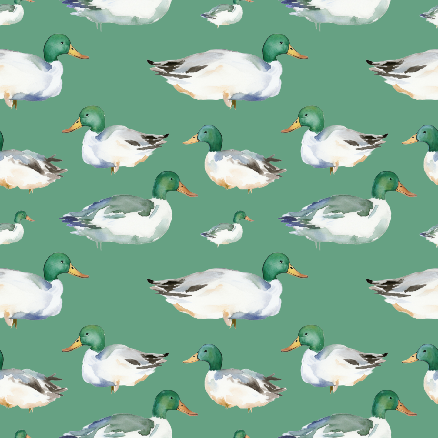 Pond Ducks