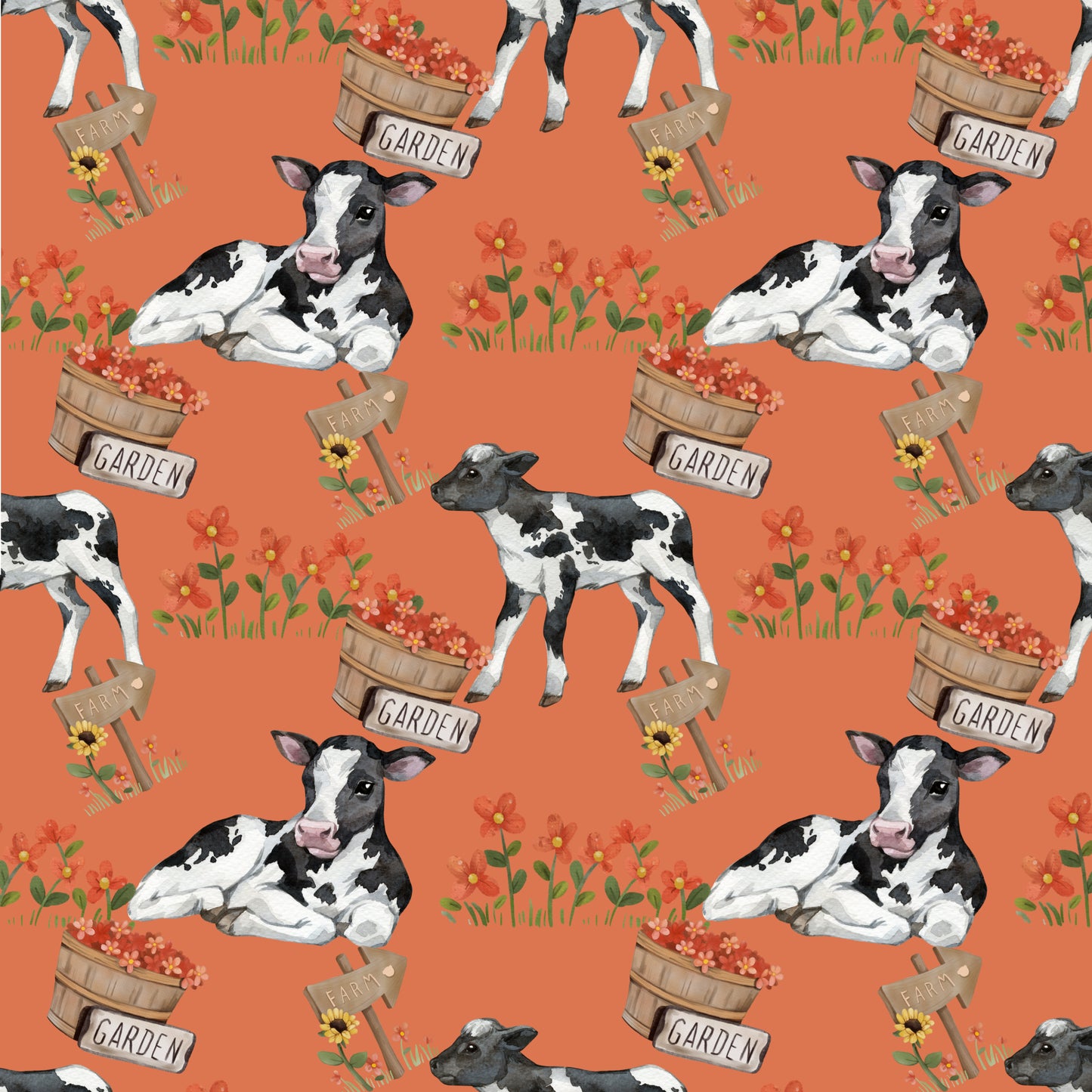 Cows