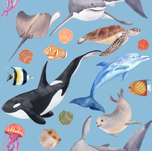 Sea Animals